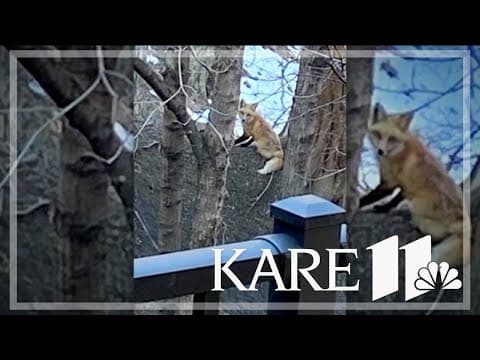 Your Good News: Chris Mosley, Mary Kosberg, Liz Pearson