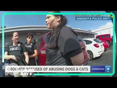 Owner of dog grooming store arrested for animal abuse, cruelty in Sarasota, Florida