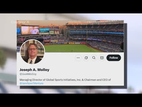 Here are some of the groups interested in buying the Tampa Bay Rays