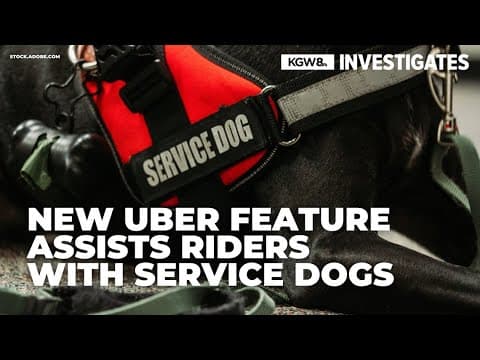 Uber's new feature aims to protect riders with service animals from driver discrimination