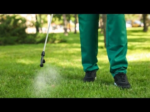 Virginia Green can help you get the perfect lawn this Spring!