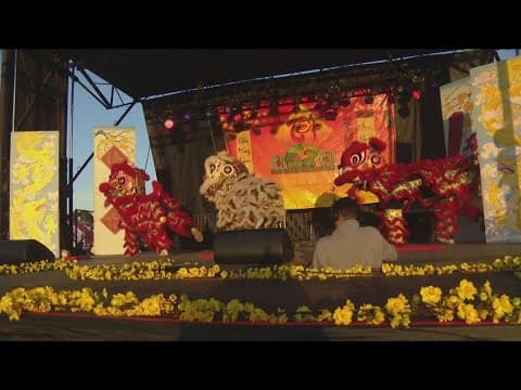 Vietnamese American Youth Alliance Tết Festival | Working For Our Community