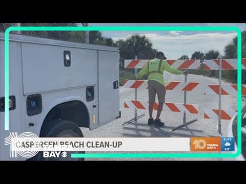 Caspersen Beach clean-up underway