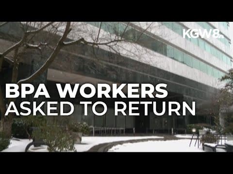 80 fired probationary employees at Bonneville Power Administration asked to return