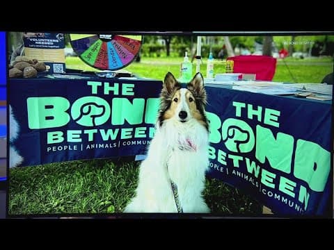 The Bond Between holding 5K fundraiser along Bde Maka Ska