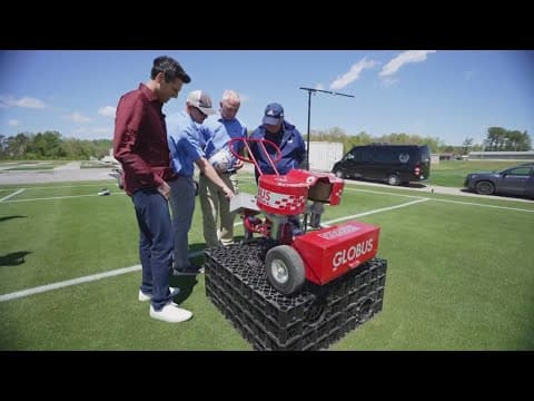 World Cup 2026 grass grown in Knoxville