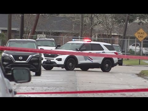 Neighbors of family react after a man allegedly killed his wife and small child at his River Ridge h