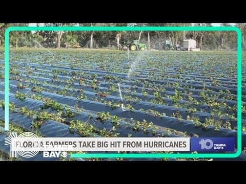 Florida agriculture industry hit hard by recent hurricanes, state seeks federal help