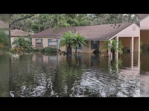 Tampa neighbors demand solution to ongoing flooding problems