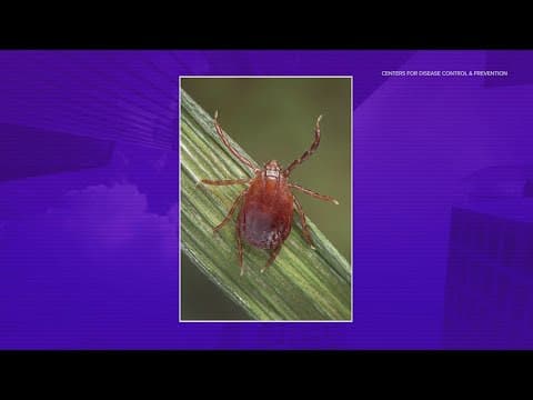 CDC warns of spread of Asian longhorned ticks across the US