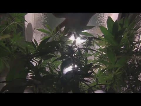 Ohioans excited for first day of recreational marijuana sales