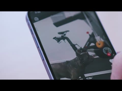 The federal appeals court set to hear TikTok's appeal against a law that would ban the platform