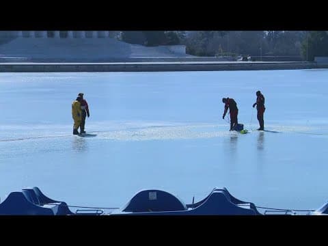 Dive team takes advantage of icy condition at the Tidal Basin