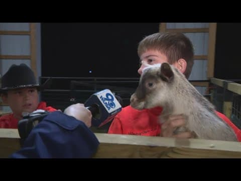 Feeling festive this fall? Visit Summers Farm in Maryland!