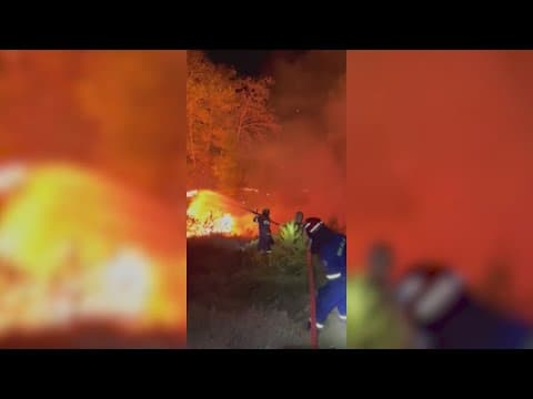 Evacuations ordered near Athens as Greek authorities try to contain wildfires