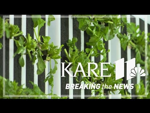 Shoreview farmers think inside the box with hydroponic garden