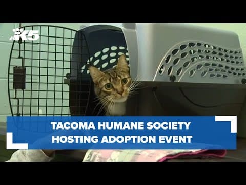 Tacoma Humane Society having adoption event