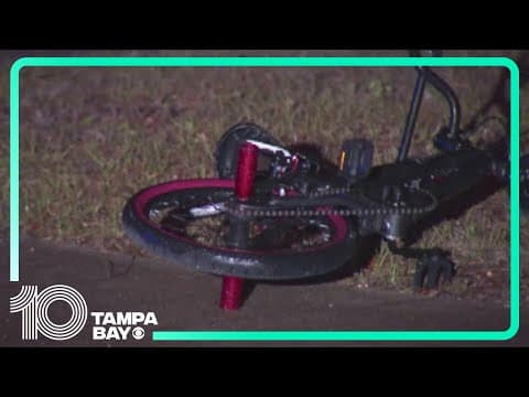 'A tragedy beyond comprehension': Florida 8-year-old killed after being attacked by pair of dogs