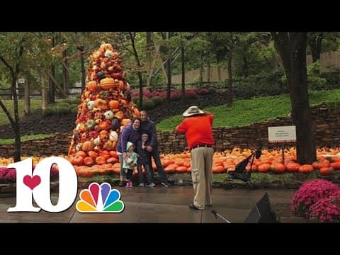 East TN celebrates fall with several fun events