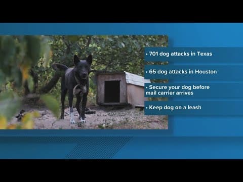 USPS reports jump in dog attacks in Texas, only one city had more attacks than Houston