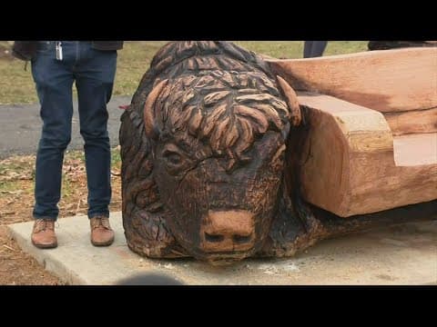 Bench carved from famous 'Linden Oak'