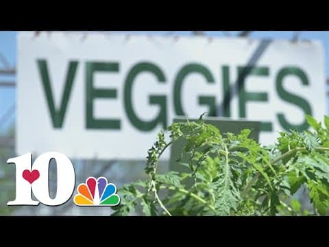 Kickstart your spring garden