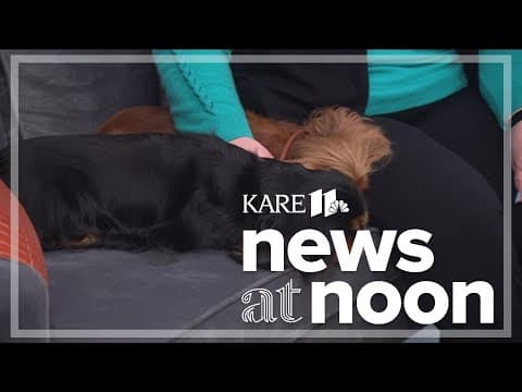 Preview: Dog show in St. Paul