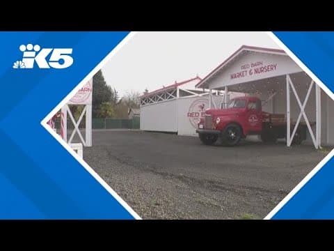 Red Barn Market & Nursery going up for sale in South Hill