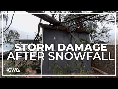 Pacific Northwest commuters mull over damage during first snowfall, heavy rain