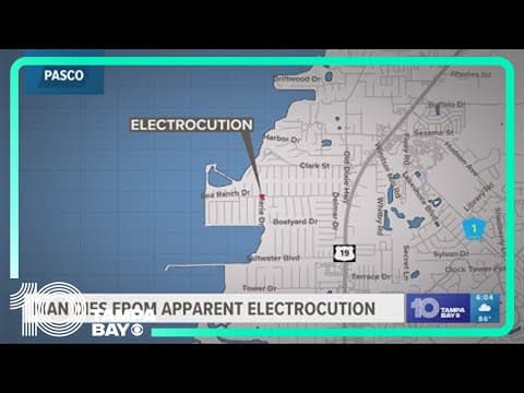 Deputies: Man dies from apparent electrocution while trimming trees in Hudson