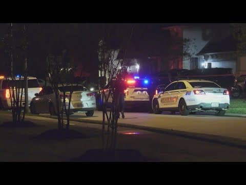 Grandson in custody after 73-year-old woman shot in Hockley area, HCSO says