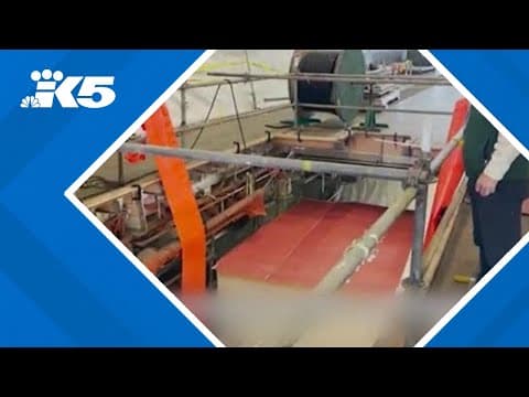 First hybrid electric ferry joins the fleet