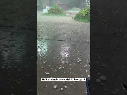 Hail pummels the #kare11 backyard. #shorts