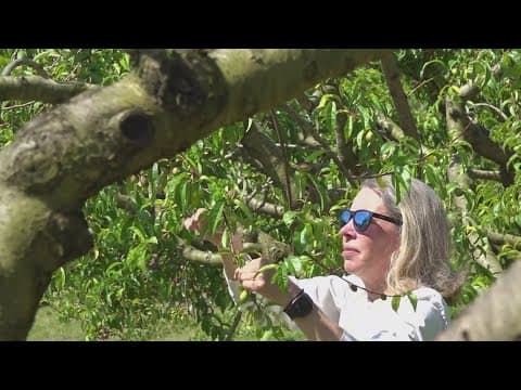 Heiskell Farm missing funds after federal agency funding freeze hits Department of Agriculture