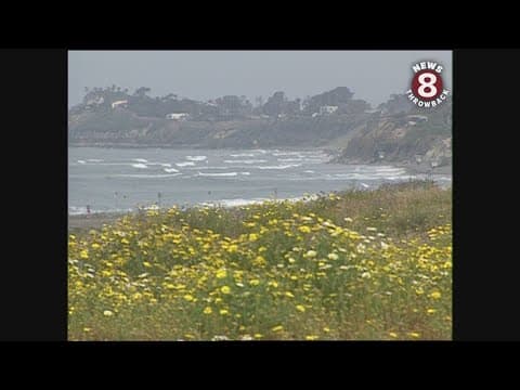 Encinitas profile 1993