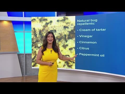 Keeping bugs at bay, the natural way | Working for Our Planet