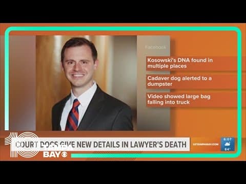 Court documents give new details in case of Tampa plastic surgeon charged with murder of local lawye