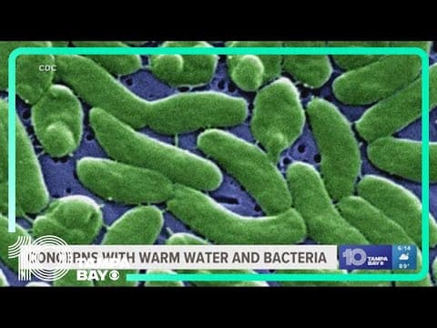 Is warmer water more concern for flesh-eating bacteria?