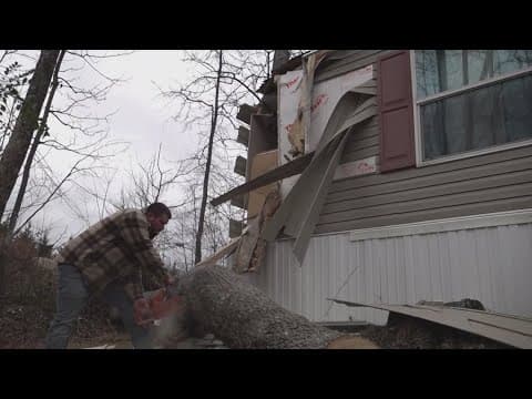 Powell woman's home damaged after being hit by fallen tree