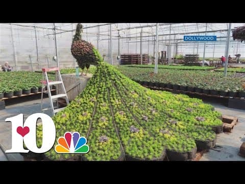 Flower and Food Festival blooms at Dollywood