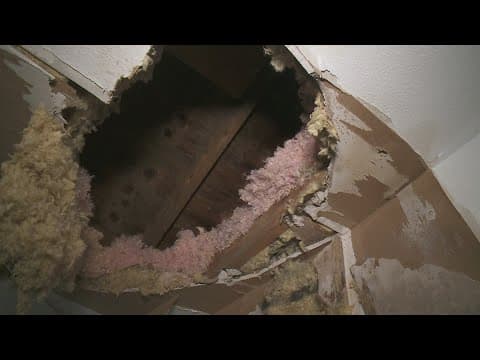 'The whole ceiling it just falls down' | Resident at Cypress Place Apartments speak out about condit