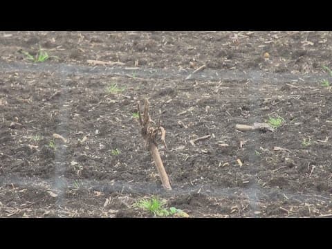 Chemicals in sewage sludge fertilizer pose cancer risk, EPA says