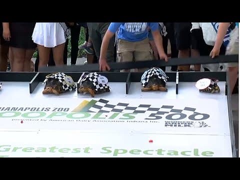 Indianapolis Zoo holds 45th annual Zoopolis 500!