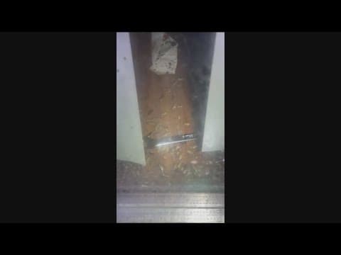 Tenants battle cockroach infestation at apartment complex in El Cajon