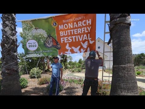 Monarch Festival takes off in San Marcos on May 14