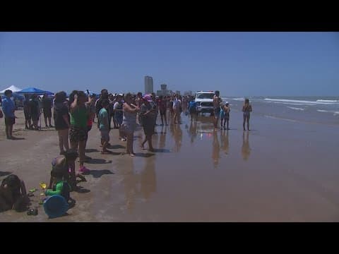 Multiple shark attacks reported on South Padre Island during July Fourth celebrations