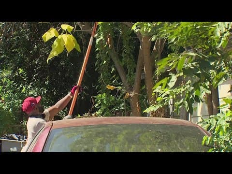 Texas community helps woman with damaged home