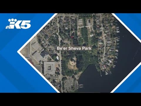 Child and woman injured in drive-by shooting at Seattle park