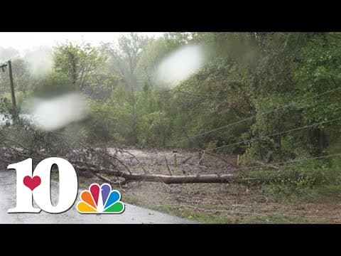 Trees, power lines down in some Knox County neighborhoods