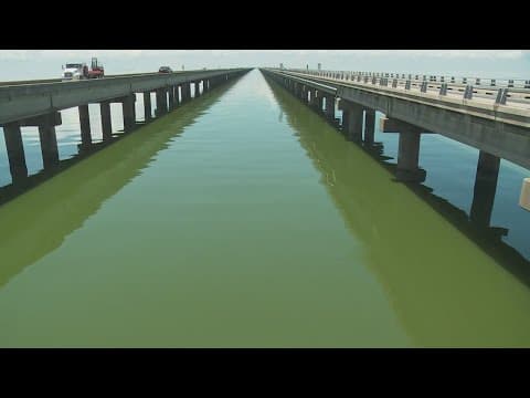 Louisiana Department of Health urging to avoid parts of Lake Pontchartrain after algal bloom